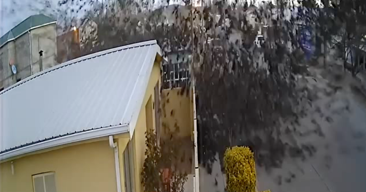 ī���������߽�ͷ����ֻ��ͷ������ش������ ��ʮֻ����