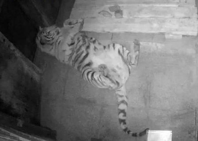 Ұ�������������ɽ1�š����ն�γ���������������