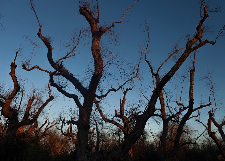 �������ϲ���ī���粿�ֵ�����ȥ20�����ܵ��ش�ɺ���1200����������