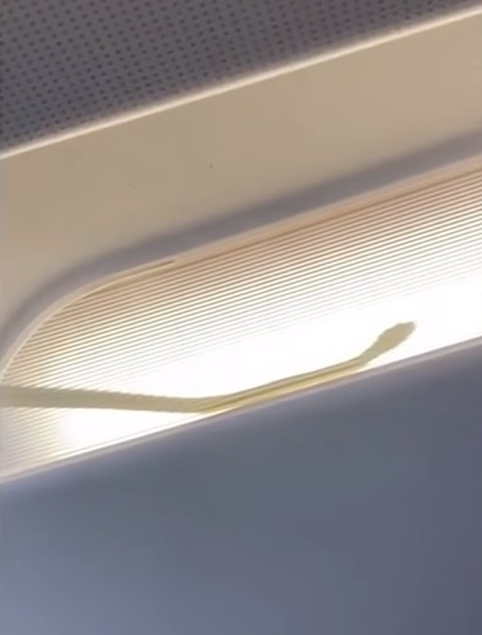 ޺չ˾ɼ¡·ĹںյӰ