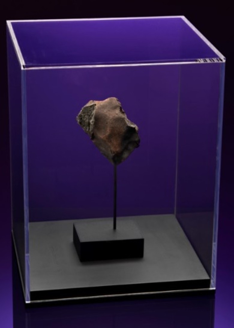 哥斯达黎加一间狗屋遭陨石击中 拍卖估价达30万美元