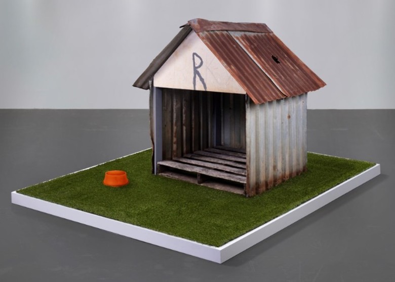 哥斯达黎加一间狗屋遭陨石击中 拍卖估价达30万美元