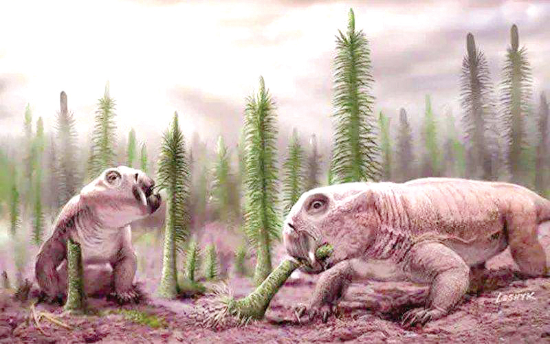 二齿兽类复原图