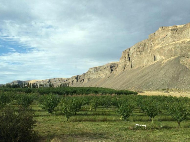 ҿѧԺԺؿǱ֧һڽʱԴˮ