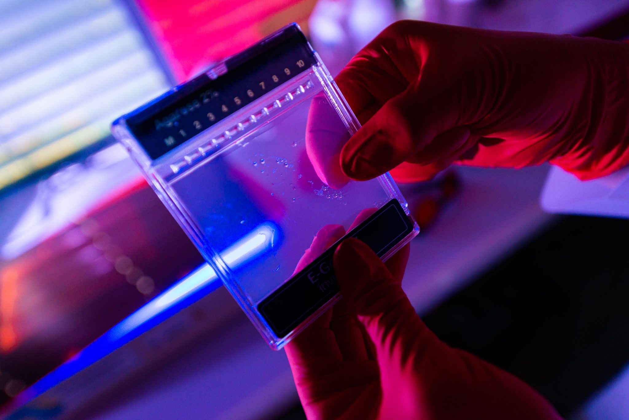 Ŵᰲ˵COVID-19ձԤ̲