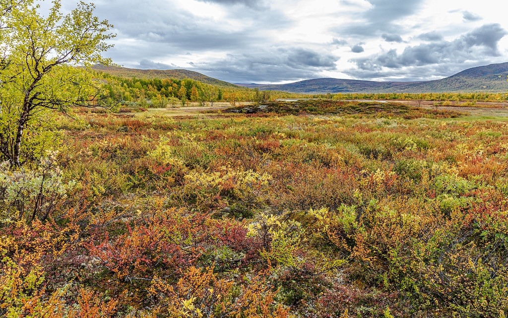 气候暖化融化永冻土可能释放出罕见放射性气体“氡” 具引发肺癌的风险
