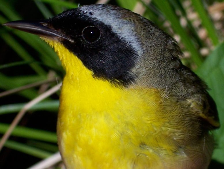 ���Իƺ���ݺ���������������ǡ���ǳ�ġ�