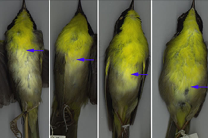 ���Իƺ���ݺ���������������ǡ���ǳ�ġ�