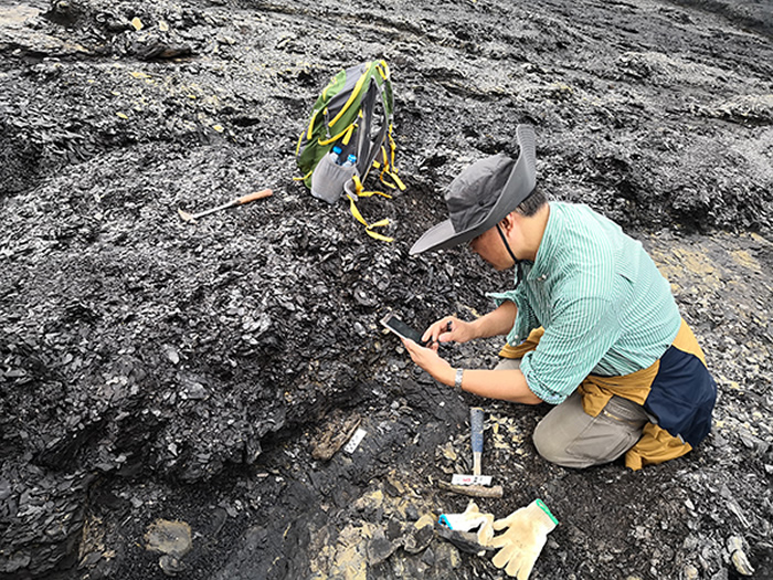 邓涛研究员在检查新发现的化石。(吴飞翔 摄)
