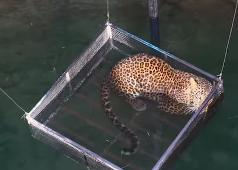 ӡ��������ʩ������Ұ����15��������� ��������Ź�Ұ��