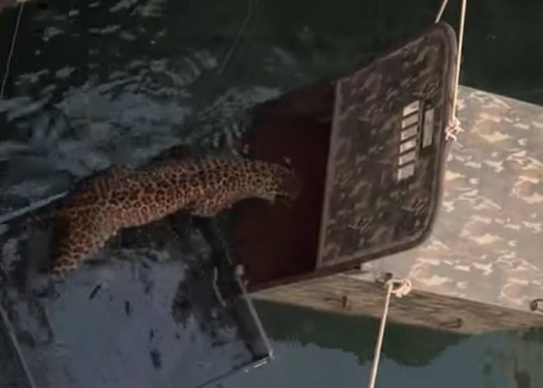 ӡ��������ʩ������Ұ����15��������� ��������Ź�Ұ��