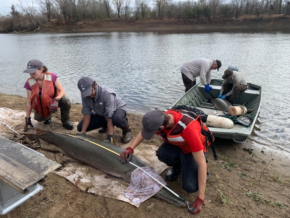 GarLabŶөǰ򣮱ȣAudrey BaetzţˣDerek Sallmann2021