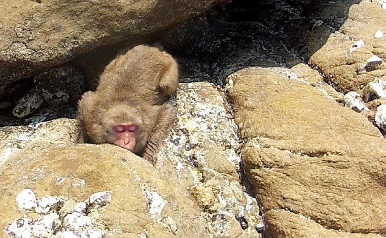 ѧоһȺҰձ⨺ĥооش