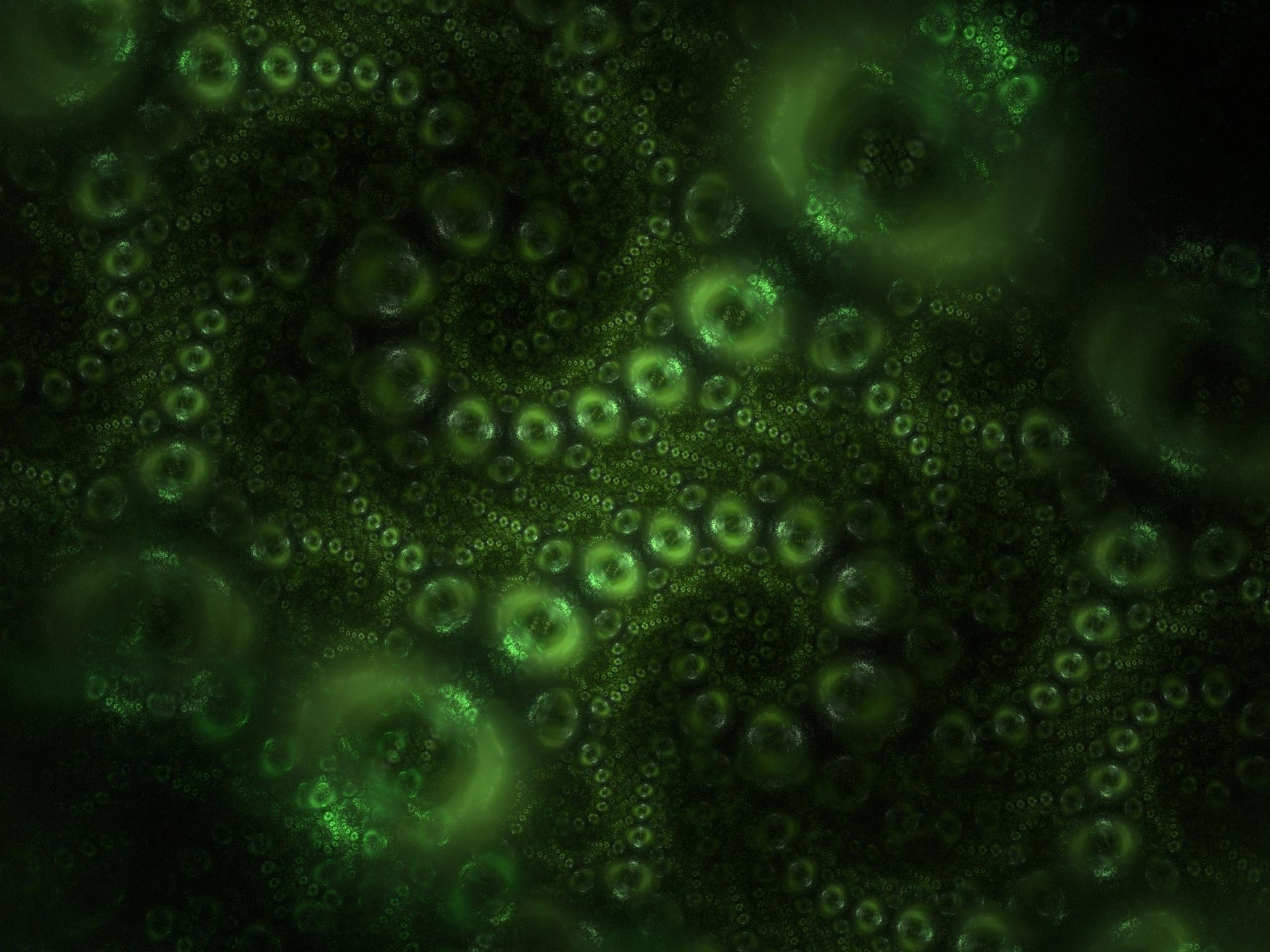 ��������ѧ�о�Ԥ�����ǲ�֪������������