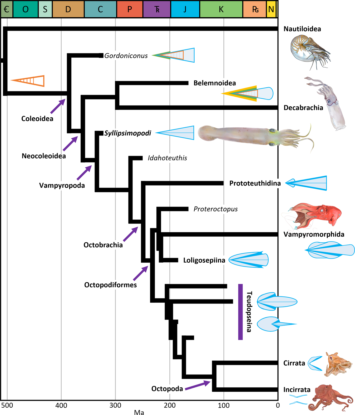 ʯ̿Ѫ״ͷදͳݵǵSyllipsimopodi bideni