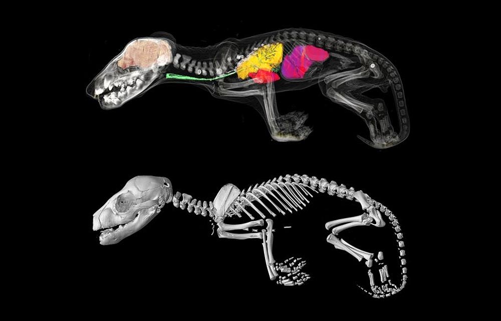 Ĵīѧڽһ缶дﱣѧоʵ