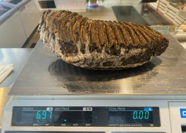 ºʲ㷷1.2곤ëݻʯ ڿ