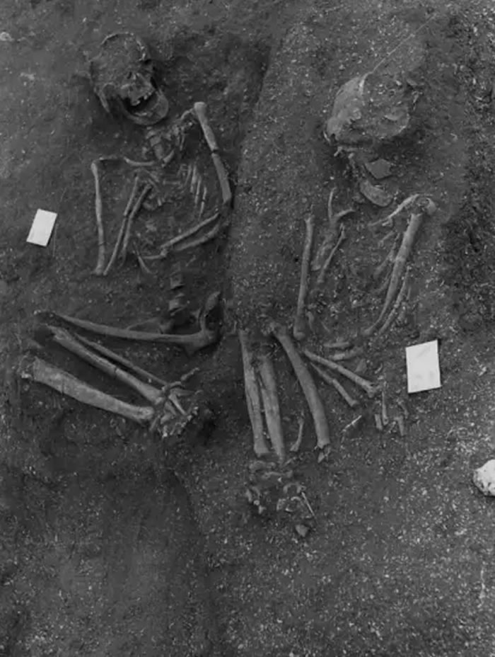 ��ŷ�޿���ѧ��־��������������ɽ�ȳ�������֪��������ľ������׷�ݵ�8000��ǰ