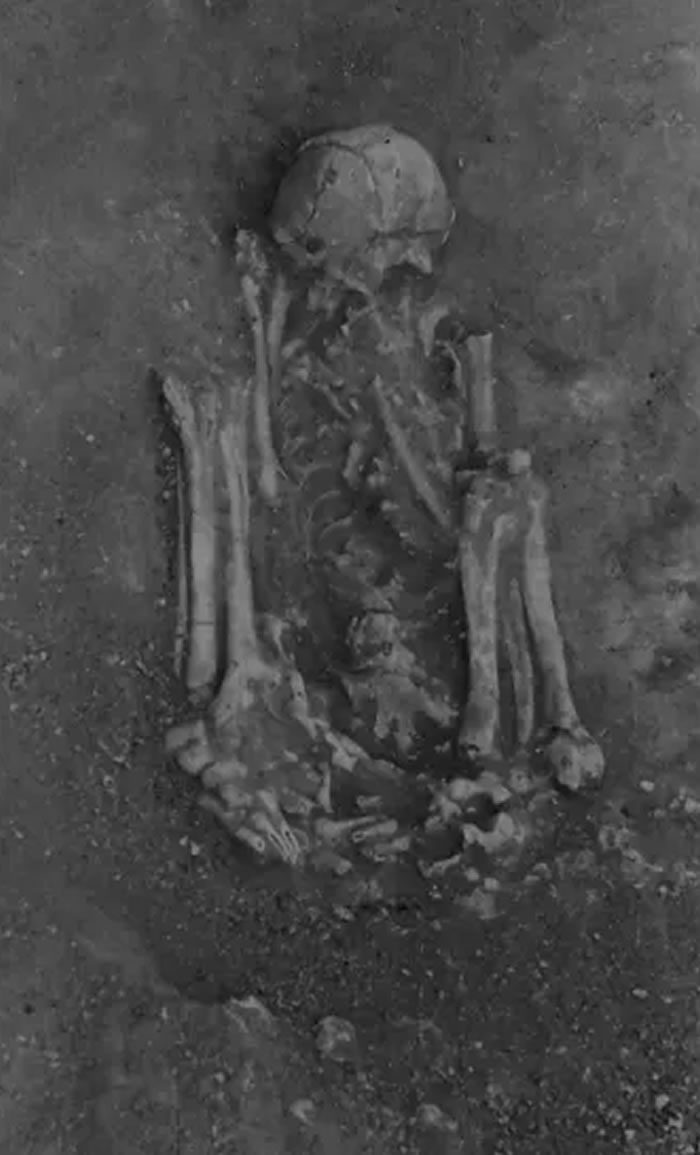 ��ŷ�޿���ѧ��־��������������ɽ�ȳ�������֪��������ľ������׷�ݵ�8000��ǰ