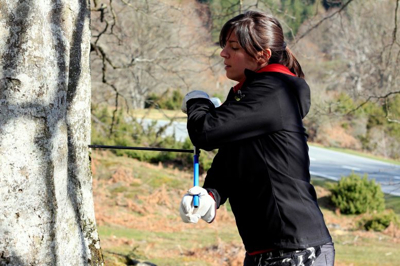 《通讯生物学》:欧洲的山毛榉森林受到气候变化的严重威胁