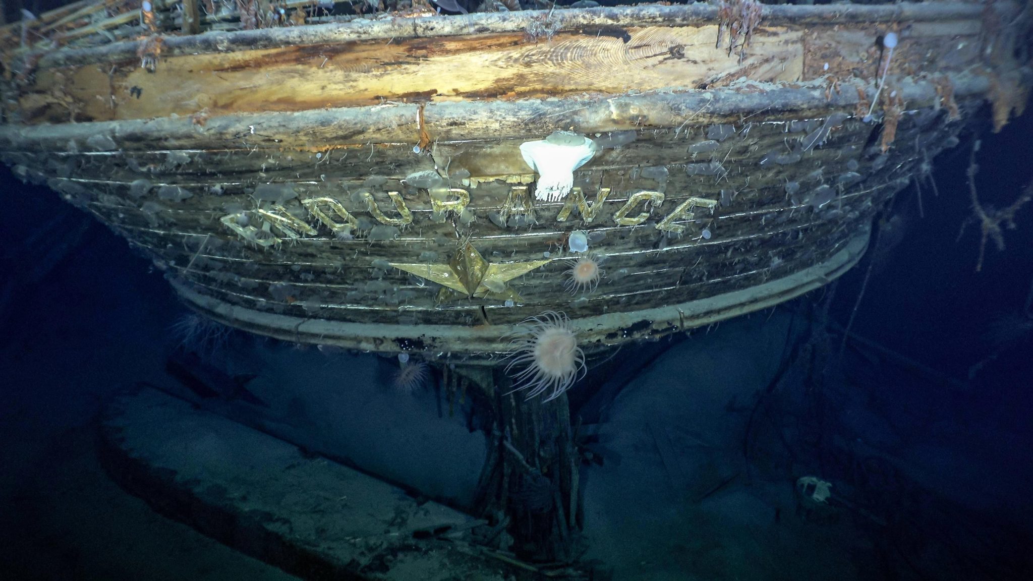 南极洲威德尔海海面下3000米发现百年前英国探险队耐力号沉船