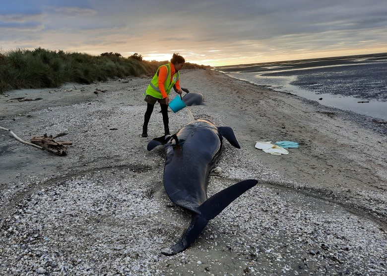 �������ϵ���˵ķѶ�Τ��ɳ����һ���캽����ǳ 31������