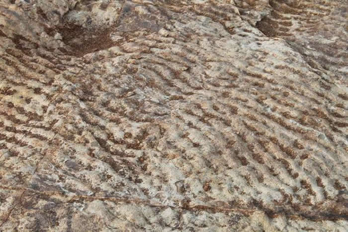 ɽ������·���һ������ˮ�����ż���ʯ�ʹ������������㼣��ʯ