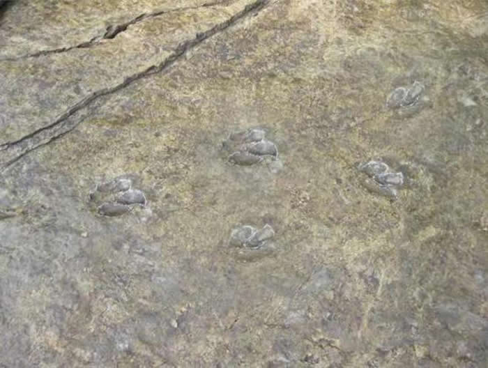 ɽ������·���һ������ˮ�����ż���ʯ�ʹ������������㼣��ʯ