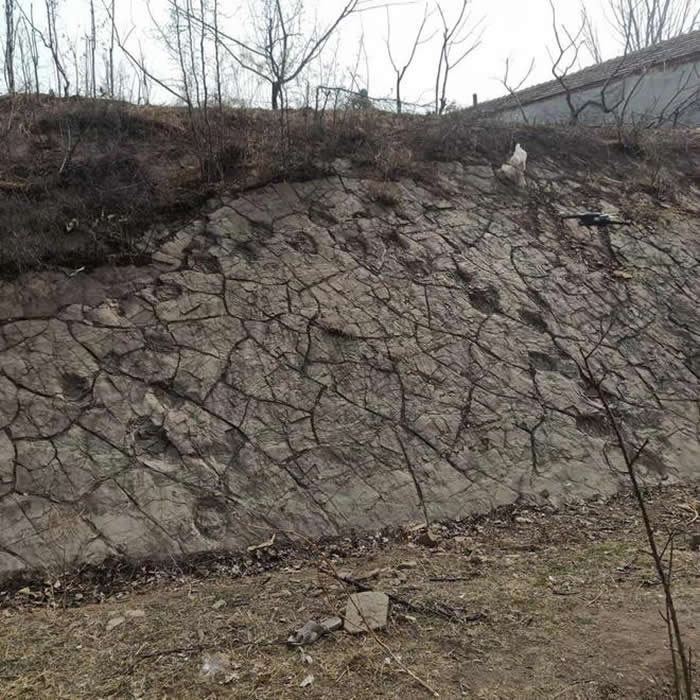 ɽ������·���һ������ˮ�����ż���ʯ�ʹ������������㼣��ʯ