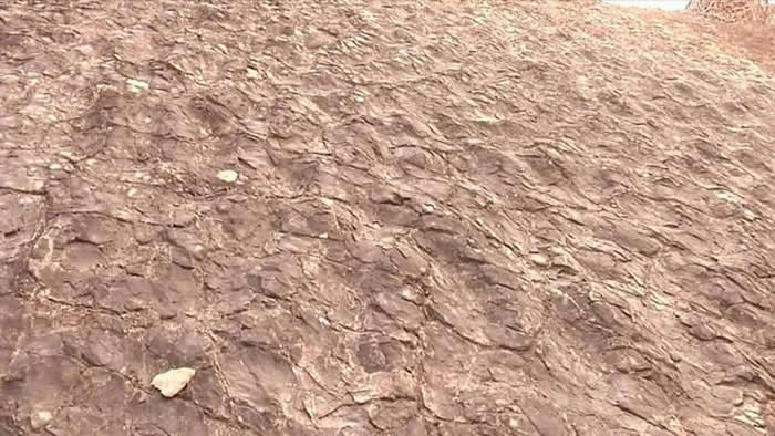 ɽ��ʡ������·���ˮ�����ż���ʯ�ʹ������������㼣��ʯ