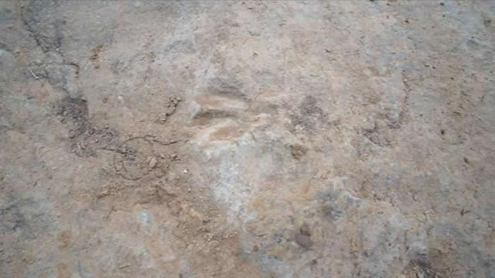 ɽ��ʡ������·���ˮ�����ż���ʯ�ʹ������������㼣��ʯ