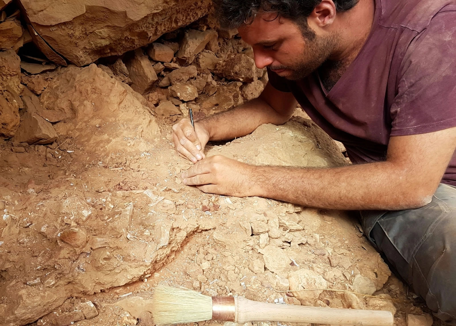 ʳ���������������Ӧˮ�����ʽ