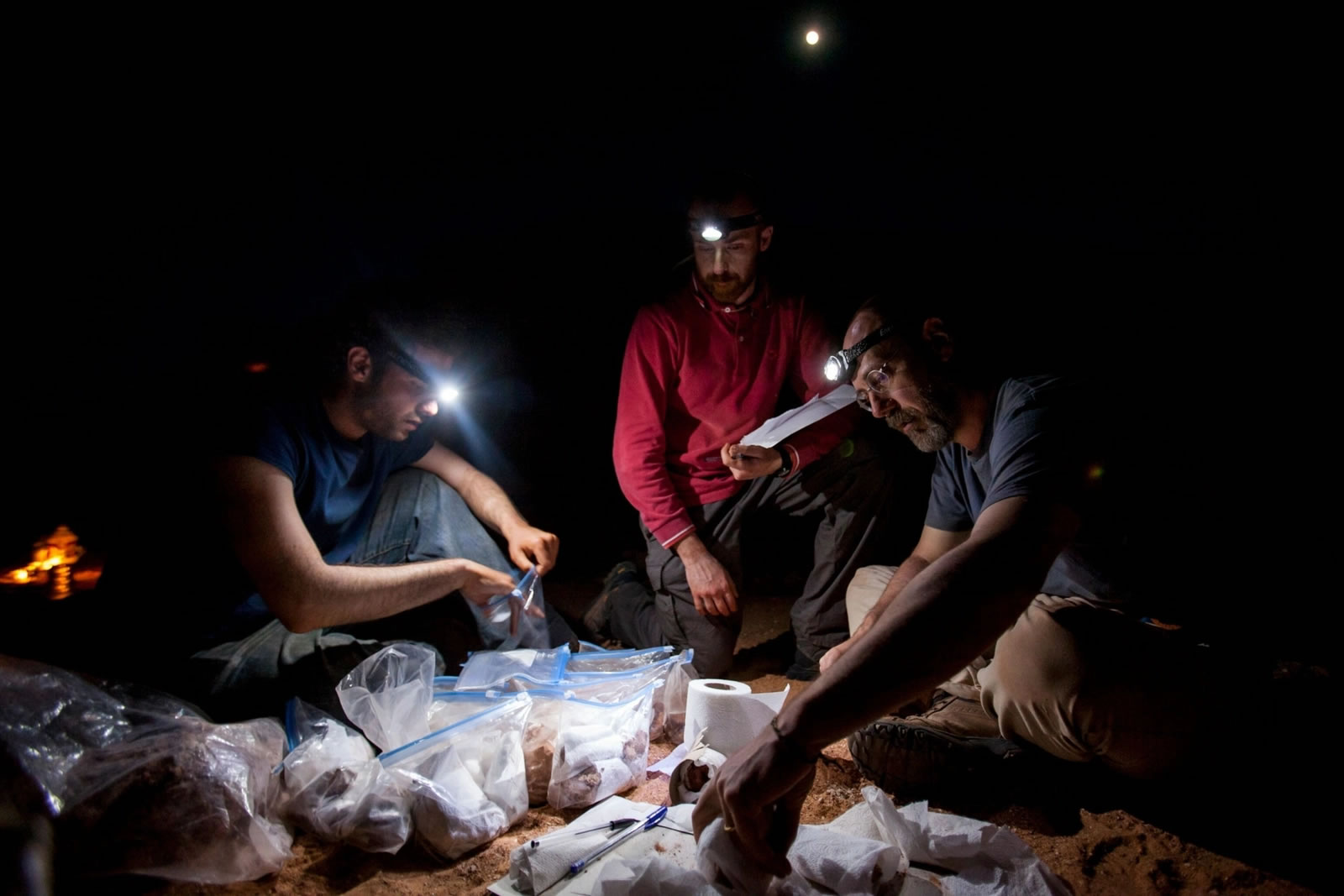 ʳ���������������Ӧˮ�����ʽ