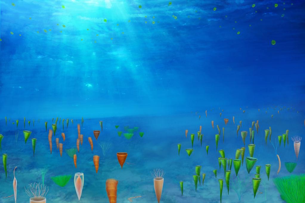 蓝田生物群复原图。中科院南京地质古生物研究所万斌供图