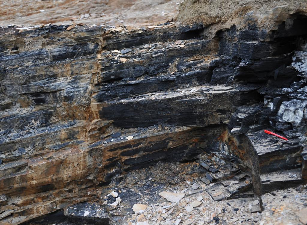 蓝田生物群所在的黑色页岩。中科院南京地质古生物研究所万斌供图