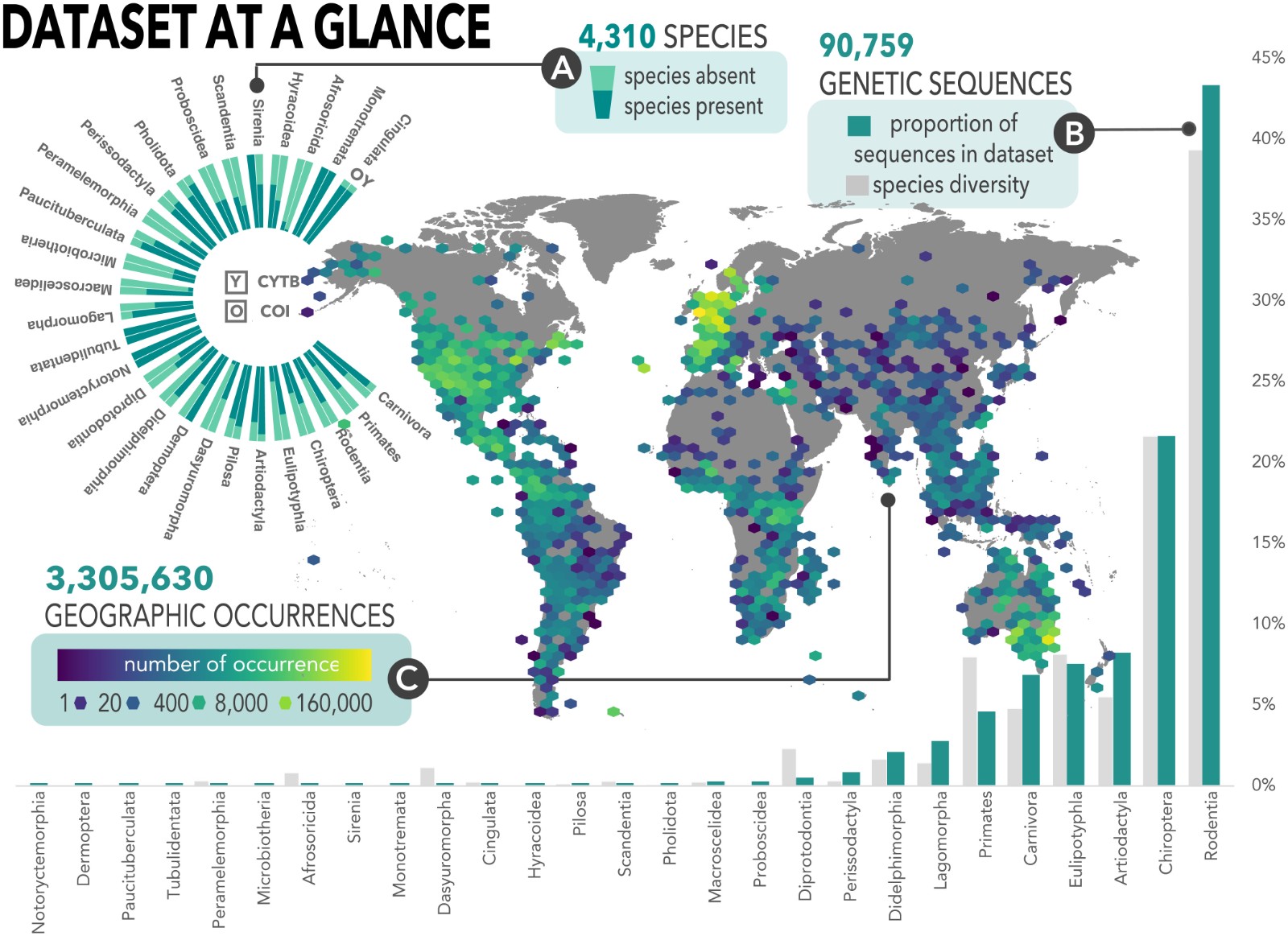 ���о�����������������������δʶ��Ĳ��鶯���������������