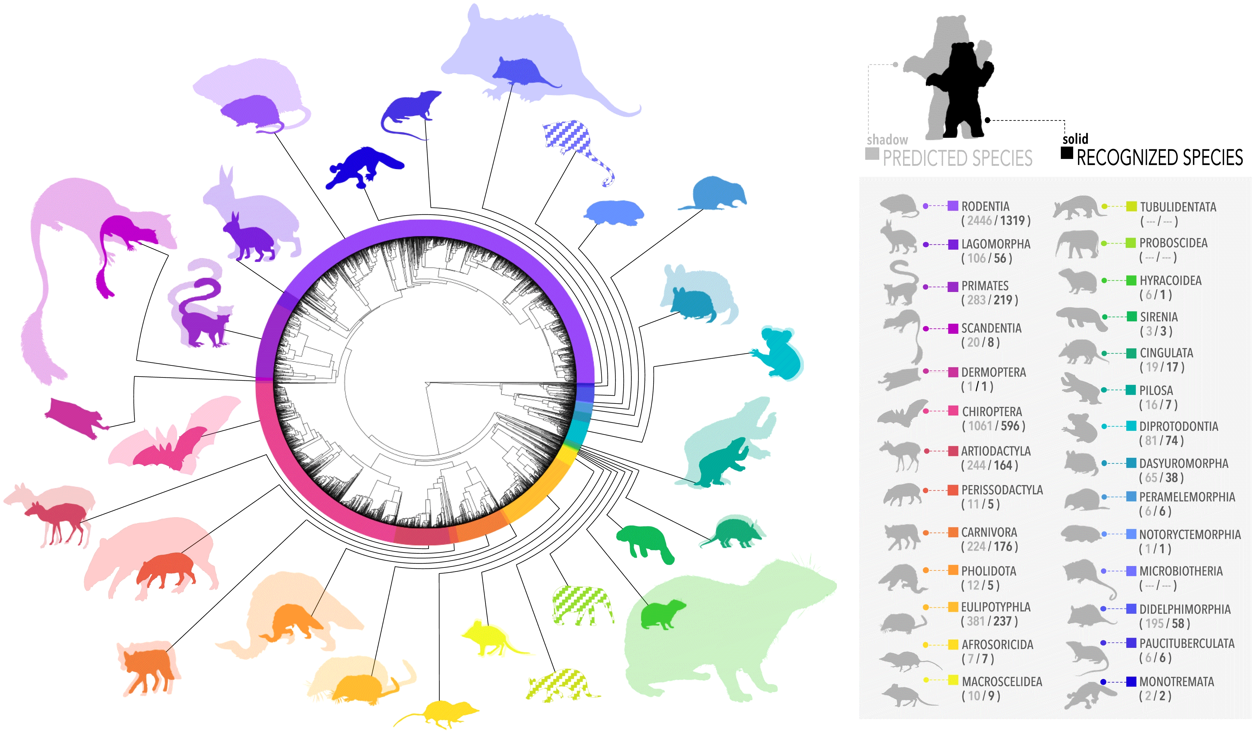 ���о�����������������������δʶ��Ĳ��鶯���������������