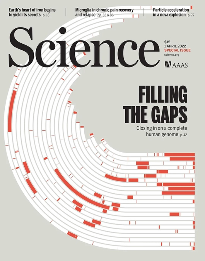 《科学》封面：迄今最完整的人类基因组测序结果公布