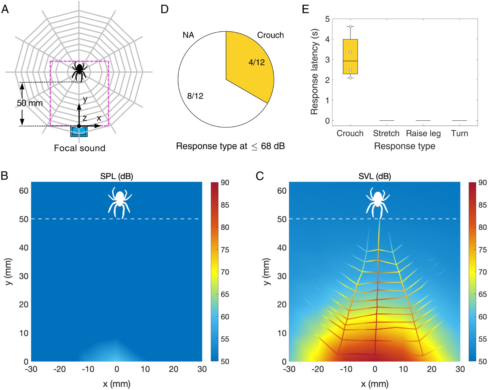 �о�����Բ�������ͨ��֩�����ϵ�΢С����̽������