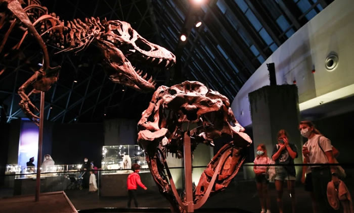 6700ǰİʯ˹̹ڰȵȻʷչ