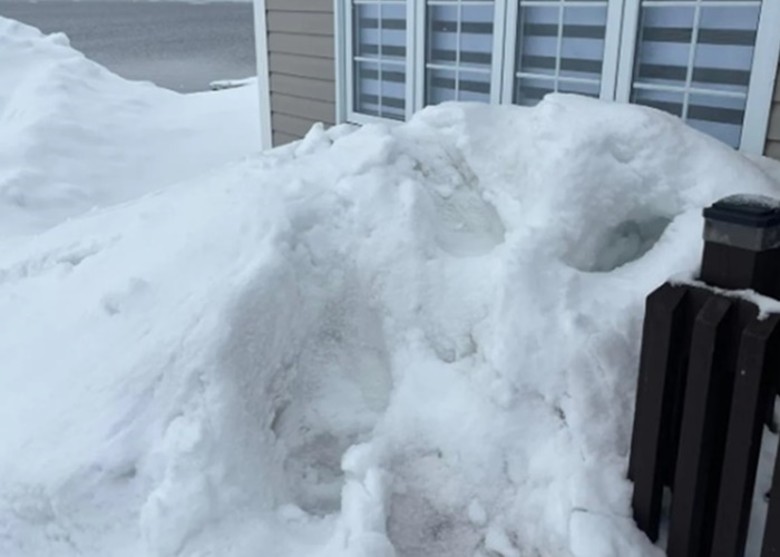 加拿大纽芬兰与拉布拉多省北半岛北极熊图闯民居 雪地留下巨大足印