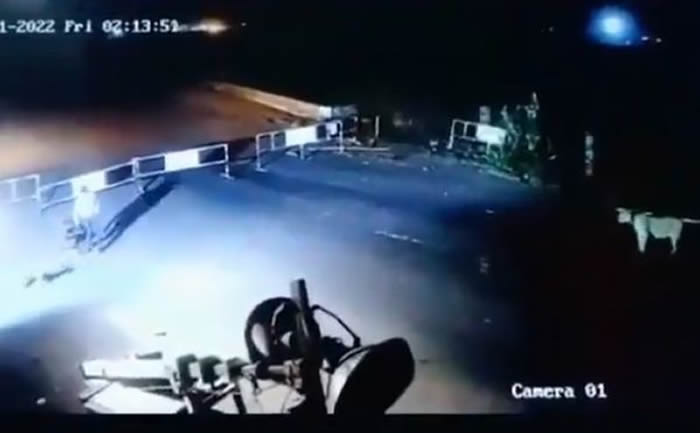 印度古吉拉特邦一名保安夜间值班时发现有6头狮子出现在公司附近寻找猎物