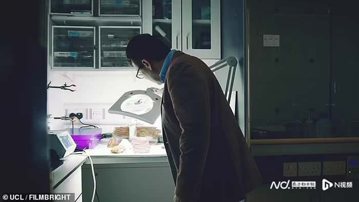 研究发现地球上第一个生命至少出现在37.5亿年前 比以前认为的早3亿年