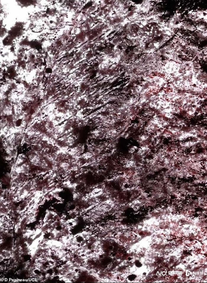 研究发现地球上第一个生命至少出现在37.5亿年前 比以前认为的早3亿年