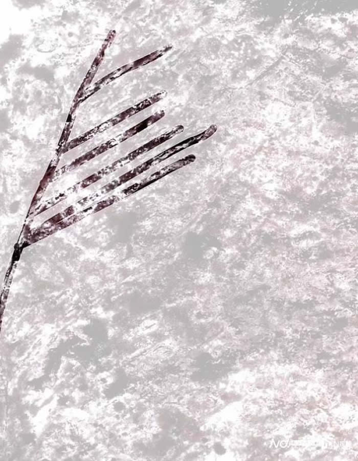 研究发现地球上第一个生命至少出现在37.5亿年前 比以前认为的早3亿年