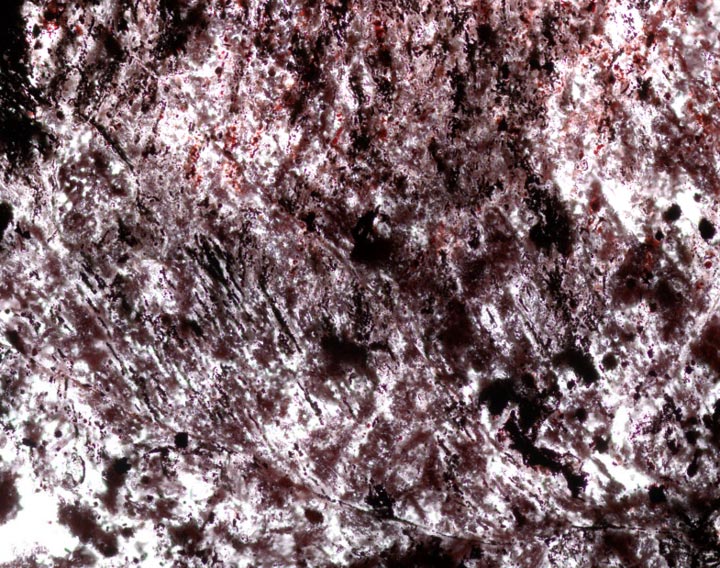 新研究表明至少在37.5亿年前 地球上就存在着多样化的微生物生命