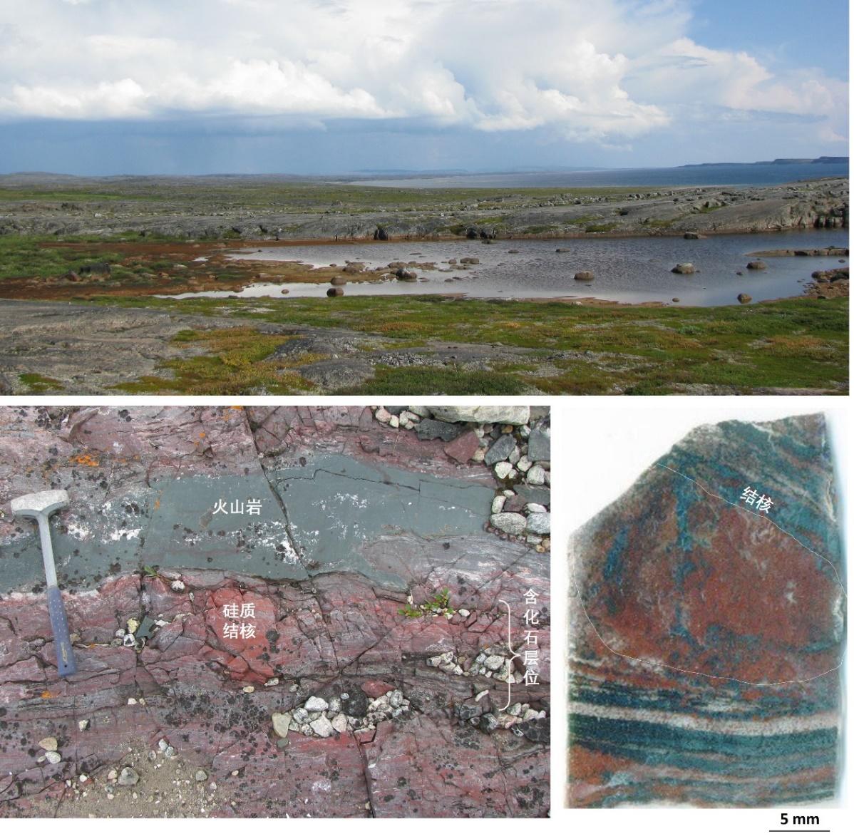 《科学进展》:发现37.5亿年前地球生命活动多样性的证据