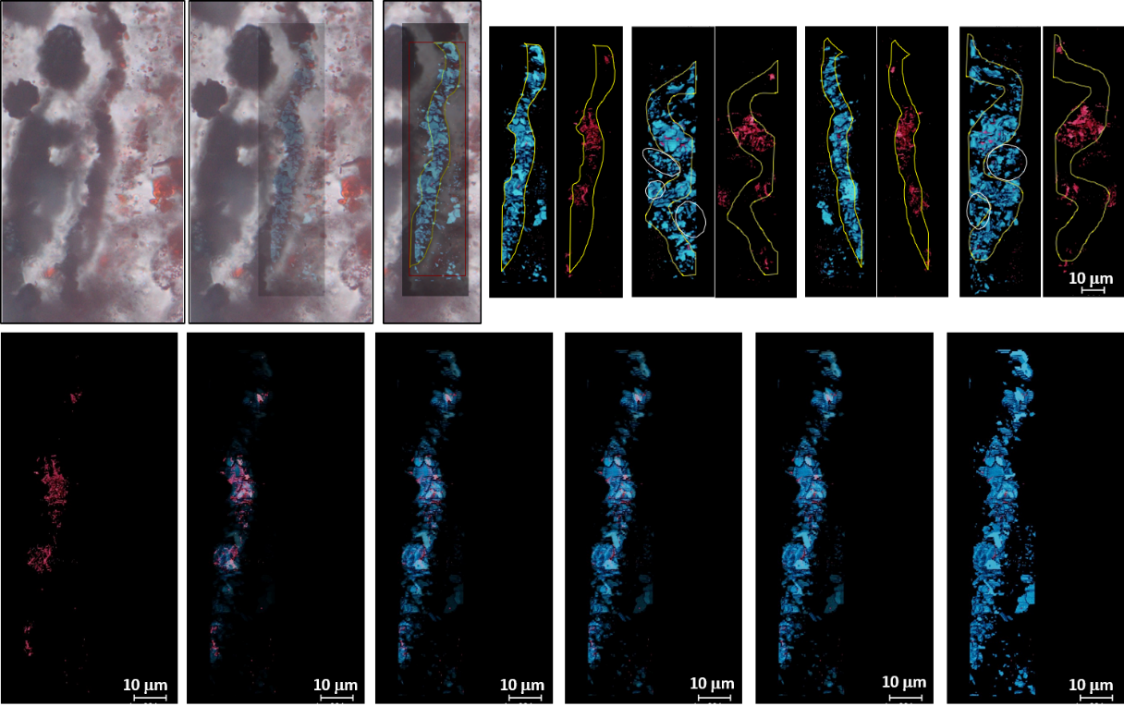 《科学进展》:发现37.5亿年前地球生命活动多样性的证据
