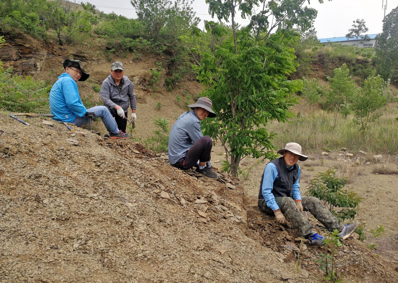 距今约5.04亿年的特异埋藏化石库“临沂动物群”:探索寒武纪演化动物群的新窗口