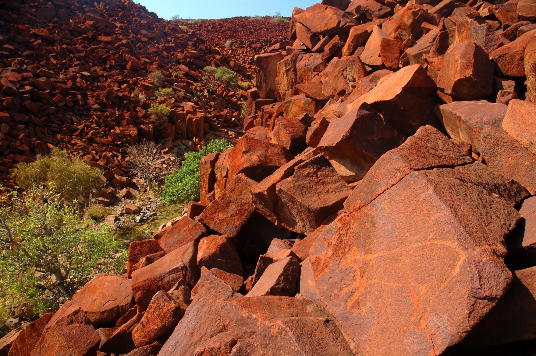 气候变迁和矿业污染可能会摧毁世界上最古老的岩石艺术：澳洲布鲁普半岛上的穆鲁朱加